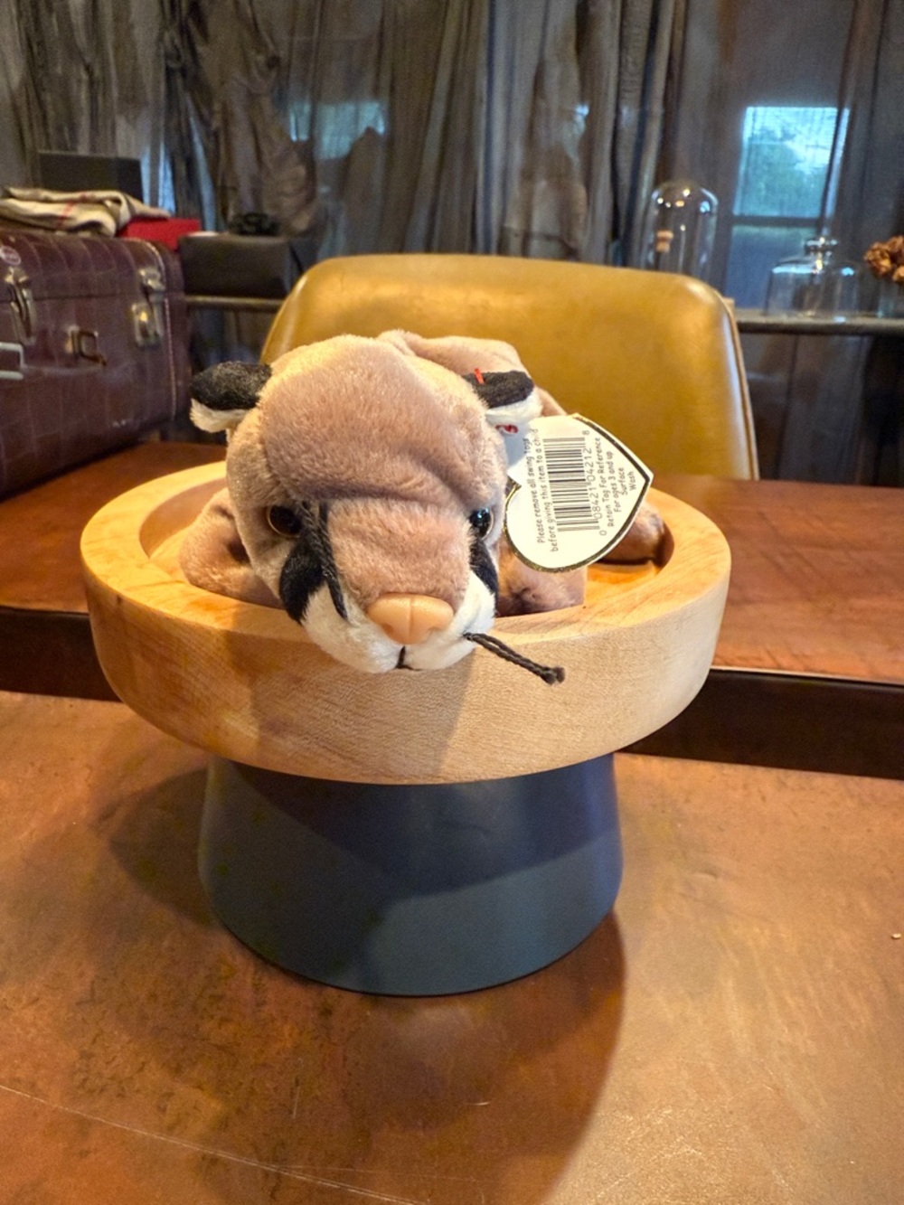 Beanie baby “ Canyon
